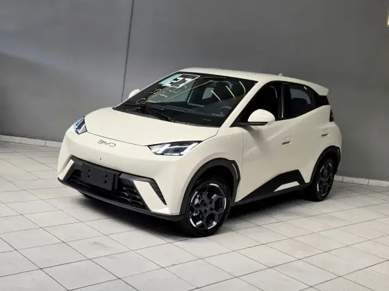 BYD DOLPHIN MINI 38 KW ELÉTRICO GS