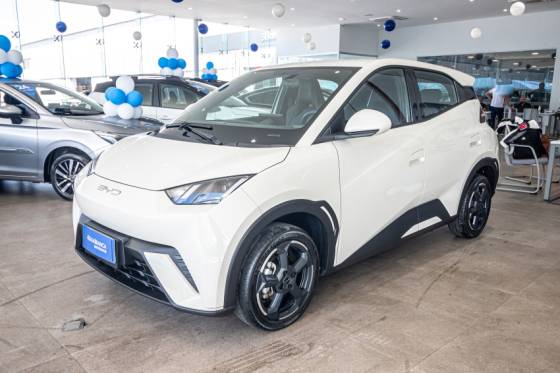 BYD DOLPHIN MINI 38 KW ELÉTRICO