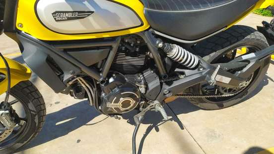 DUCATI-SCRAMBLER ICON-2023