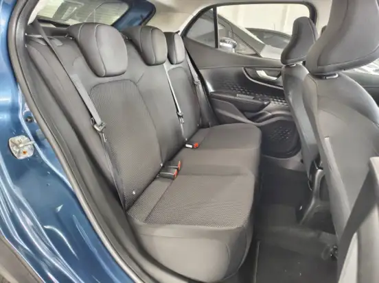 FIAT-PULSE-2021