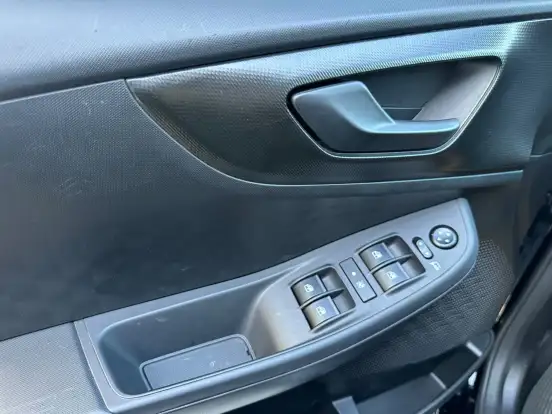 FIAT-PULSE-2024