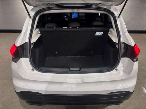 FIAT-PULSE-2022