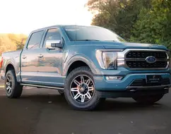 FORD F-150 5.0 V8 GASOLINA CD PLATINUM FX4 AUTOMÁTICO FORD F-150 5.0 V8 GASOLINA CD PLATINUM FX4 AUTOMÁTICO