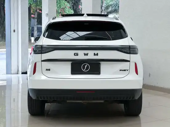 GWM-HAVAL H6-1.5 PHEV19 E-TRACTION GWM-HAVAL H6-2025