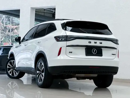 GWM-HAVAL H6-1.5 PHEV19 E-TRACTION GWM-HAVAL H6-2025