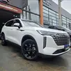 GWM HAVAL H6 1.5 PHEV35 AWD E-TRACTION GWM HAVAL H6 1.5 PHEV35 AWD E-TRACTION