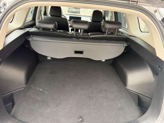 GWM-HAVAL H6-2025
