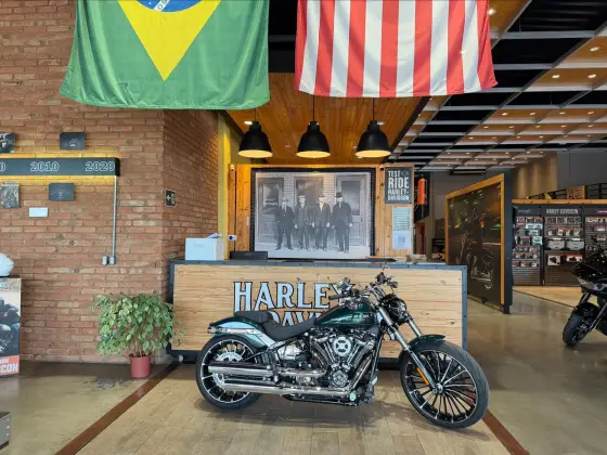 HARLEY-DAVIDSON SOFTAIL BREAKOUT 