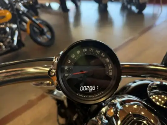 HARLEY-DAVIDSON-SOFTAIL BREAKOUT-2025