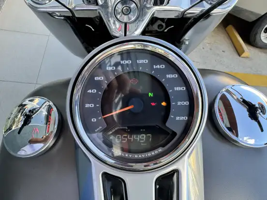 HARLEY-DAVIDSON-SOFTAIL FAT BOY 114 HARLEY-DAVIDSON-SOFTAIL FAT BOY 114-2019