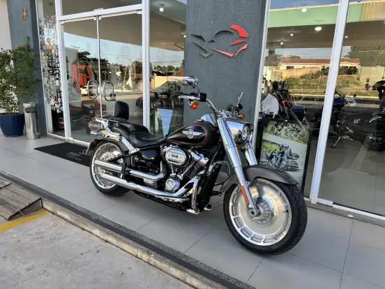 HARLEY-DAVIDSON-SOFTAIL FAT BOY 114-2019