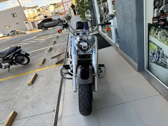 HARLEY-DAVIDSON-SOFTAIL FAT BOY 114 HARLEY-DAVIDSON-SOFTAIL FAT BOY 114-2019