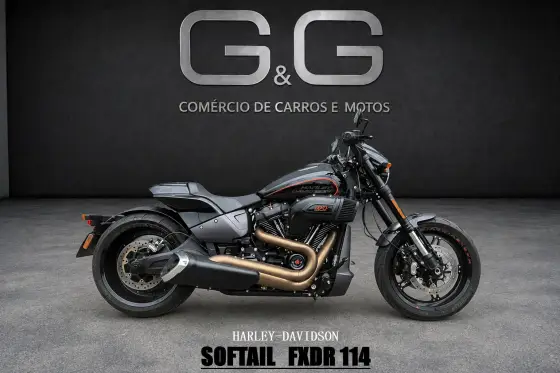 HARLEY-DAVIDSON SOFTAIL FXDR 114 