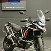 TRIUMPH TIGER 900 GT PRO TRIUMPH TIGER 900 GT PRO