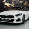 BMW Z4 2.0 TWINPOWER GASOLINA SDRIVE30i M SPORT STEPTRONIC BMW Z4 2.0 TWINPOWER GASOLINA SDRIVE30i M SPORT STEPTRONIC