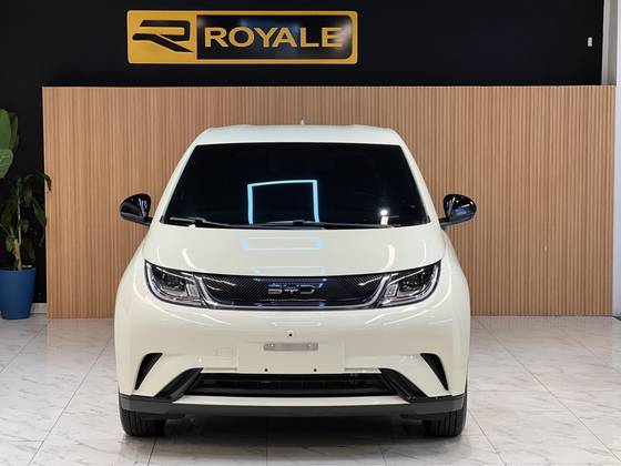 BYD DOLPHIN 44,9 KW ELÉTRICO GS