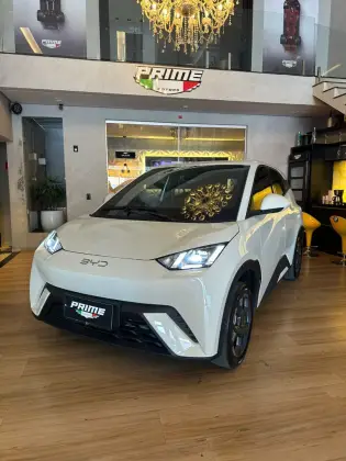 BYD DOLPHIN MINI 38 KW ELÉTRICO GL