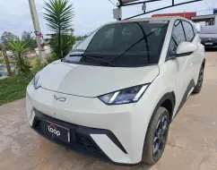 BYD DOLPHIN MINI 38 KW ELÉTRICO GS BYD DOLPHIN MINI 38 KW ELÉTRICO GS