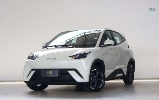 BYD DOLPHIN MINI 38 KW ELÉTRICO GS