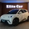 BYD DOLPHIN MINI 38 KW ELÉTRICO BYD DOLPHIN MINI 38 KW ELÉTRICO