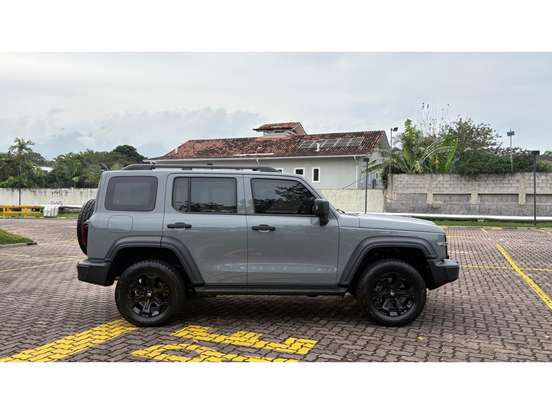 GWM-TANK 300-2025