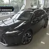 LEXUS UX 300h 2.0 VVT-I HYBRID CVT LEXUS UX 300h 2.0 VVT-I HYBRID CVT
