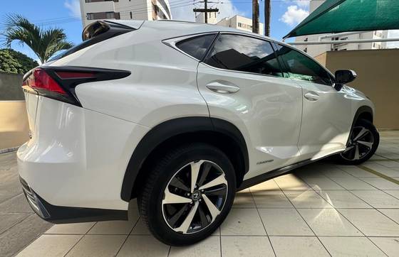 LEXUS NX 300 2.0 16V VVT-i TURBO GASOLINA LUXURY 6A/T AWD