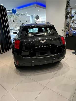 MINI-ACEMAN-2025