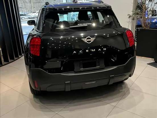 MINI-ACEMAN-42,5 KW ELÉTRICO E MINI-ACEMAN-2025