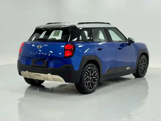 MINI-ACEMAN-2025