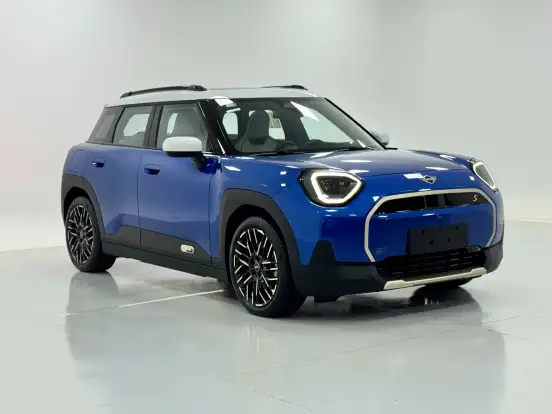 MINI-ACEMAN-2025