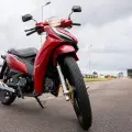 SHINERAY RIO 125 SHINERAY RIO 125
