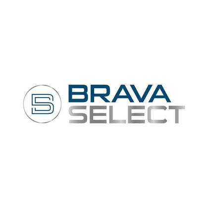 BMW X1 2.0 16V TURBO ACTIVEFLEX SDRIVE20I 4P AUTOMÁTICO