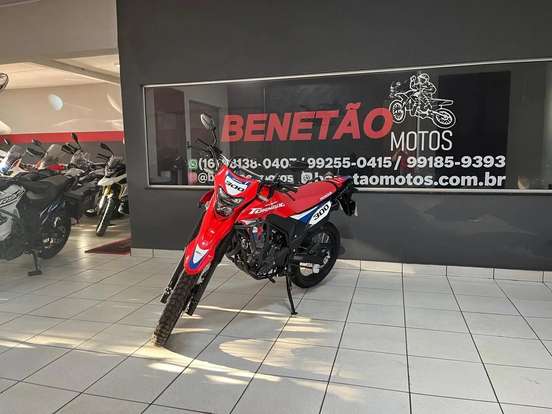 HONDA-XR 300L TORNADO SPECIAL EDITION-2026