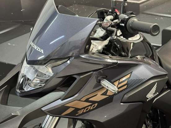 HONDA-XRE 300 ABS HONDA-XRE 300 ABS-2021