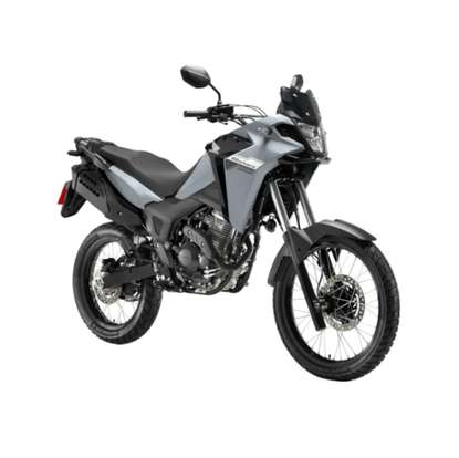 HONDA-XRE 300 SAHARA-2026