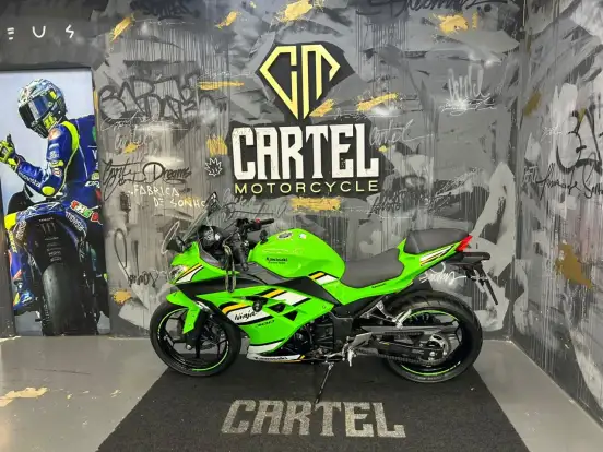 KAWASAKI-NINJA 300 KAWASAKI-NINJA 300-2025