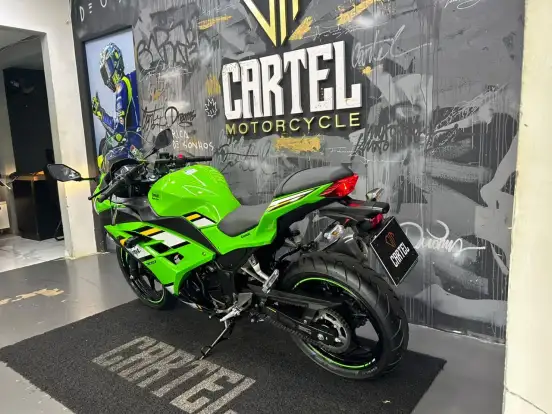 KAWASAKI-NINJA 300-2025
