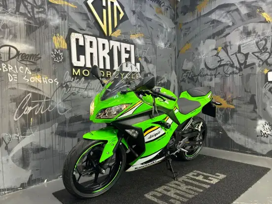 KAWASAKI-NINJA 300 KAWASAKI-NINJA 300-2025