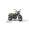 ROYAL ENFIELD BEAR 650 ROYAL ENFIELD BEAR 650