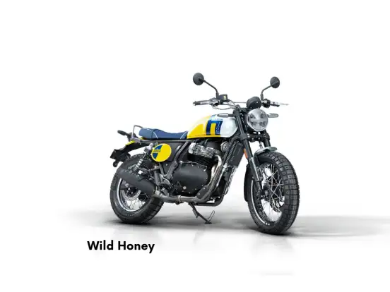 ROYAL ENFIELD-BEAR 650 ROYAL ENFIELD-BEAR 650-2026