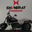 SHINERAY IRON 250 SHINERAY IRON 250