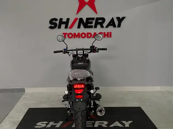 SHINERAY-IRON 250 SHINERAY-IRON 250-2025