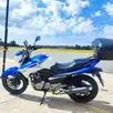 SUZUKI INAZUMA SUZUKI INAZUMA