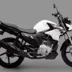 YAMAHA FACTOR 150 STANDARD YAMAHA FACTOR 150 STANDARD
