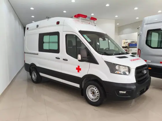 FORD TRANSIT 2.0 ECOBLUE DIESEL FURGÃO L2H3 MANUAL