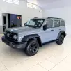 GWM TANK 300 2.0 HI4-T PHEV FLEX 4X4 9HAT GWM TANK 300 2.0 HI4-T PHEV FLEX 4X4 9HAT