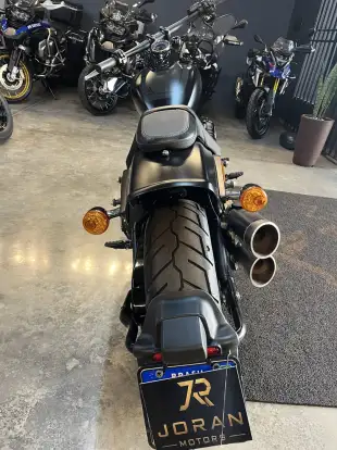 HARLEY-DAVIDSON-SOFTAIL FAT BOY 114-2019