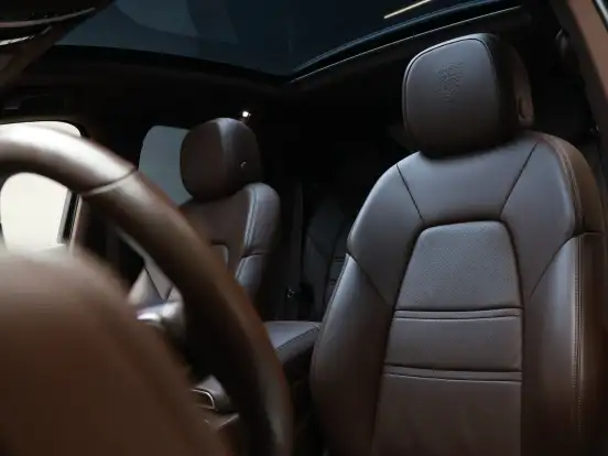 PORSCHE-CAYENNE-3.0 V6 E-HYBRID COUPÉ PLATINUM EDITION AWD TIPTRONIC S PORSCHE-CAYENNE-2022
