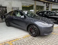 TESLA MODEL Y P100D PERFORMANCE AWD ELÉTRICO TESLA MODEL Y P100D PERFORMANCE AWD ELÉTRICO